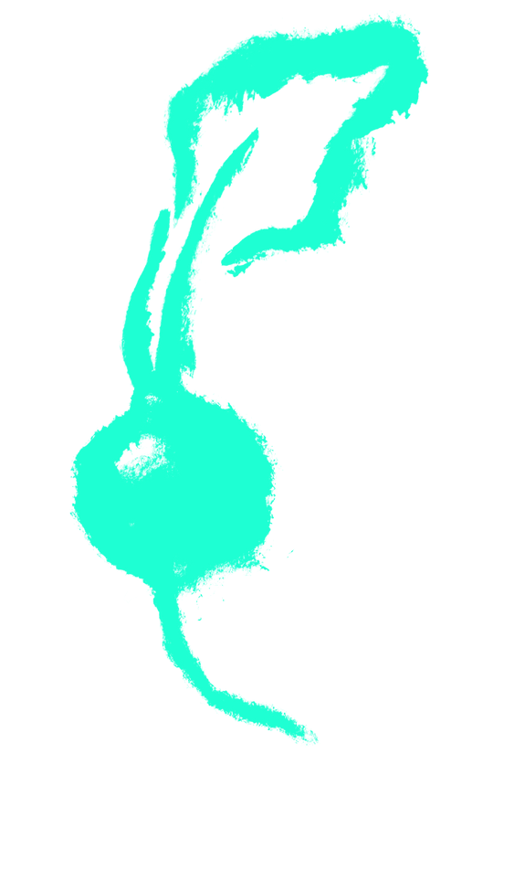 Ruth Wood Crucial Foods (8)